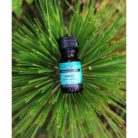 Plantlife Spruce Essential Oil