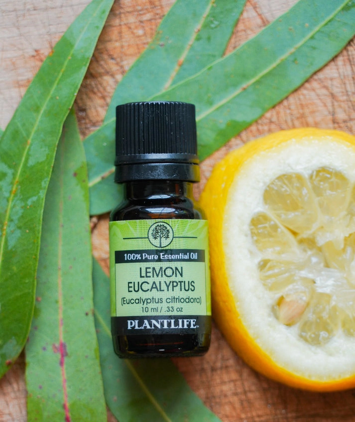Plantlife Lemon Eucalyptus Essential Oil