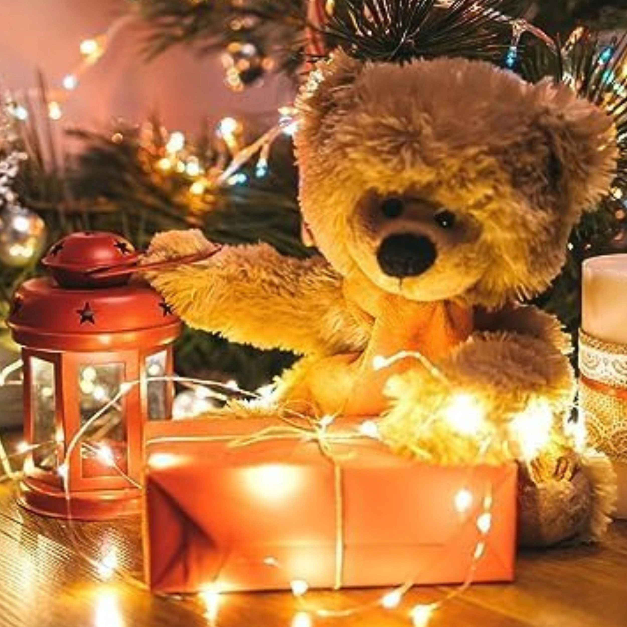 Stock Preferred Pack of 12 7Ft Battery Operated 20 LED Warm White Fairy String Lights