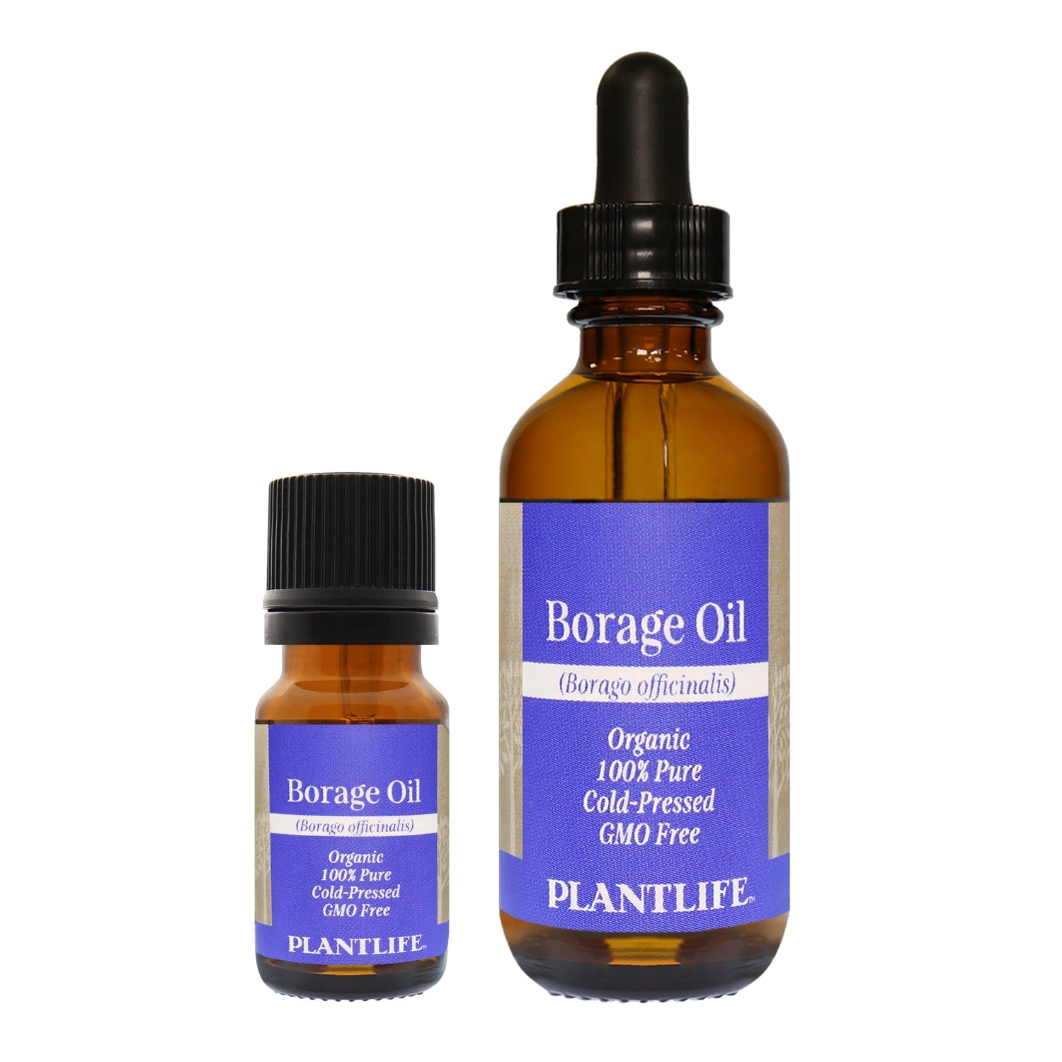 Plantlife Borage Seed Carrier Oil