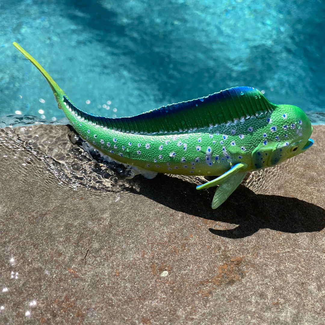 Safari Ltd. - Mahi-Mahi Fish Kids Toy Figure