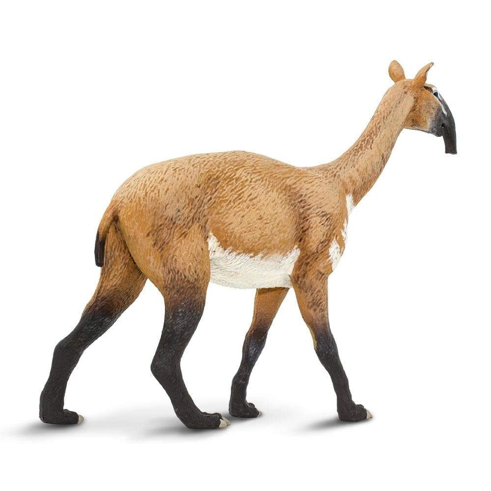 Safari Ltd. - Macrauchenia Kids Prehistoric/Dinosaur Toy Figure