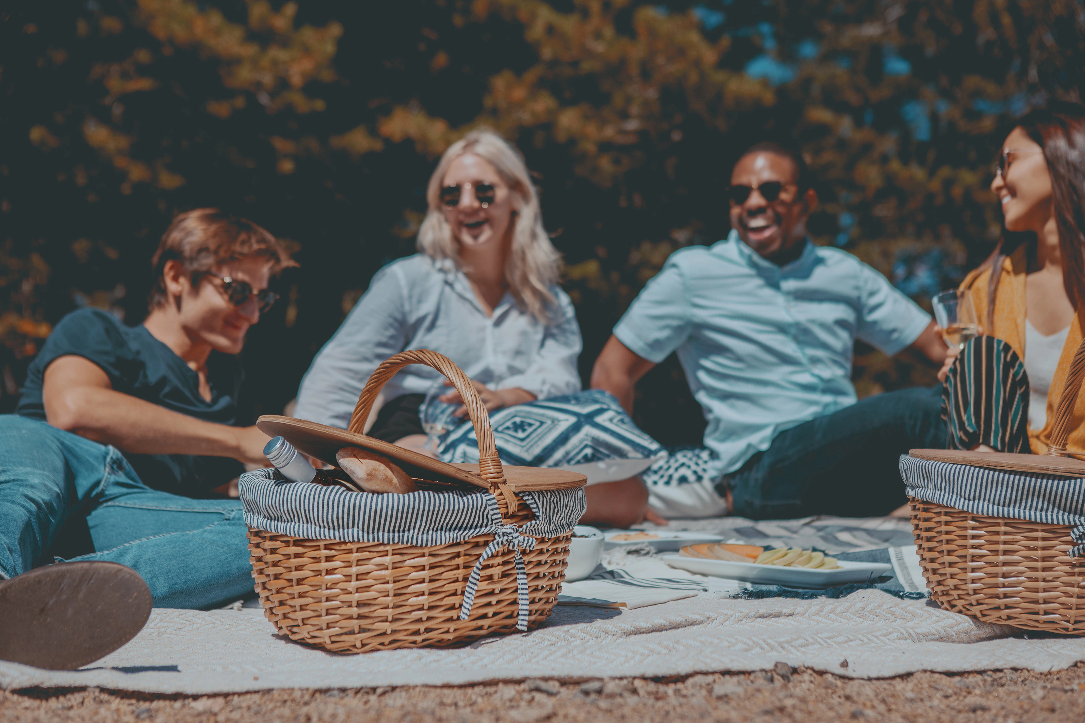 Picnic TIME Country Basket