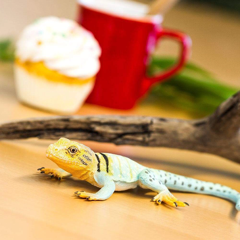 Safari Ltd. - Collared Lizard Kids Toy Figure