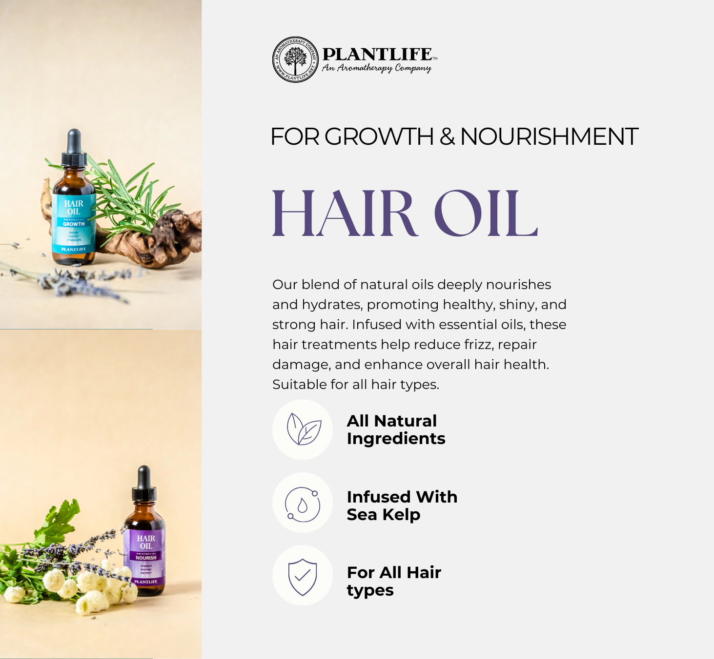 Plantlife Nourish Hair Oil