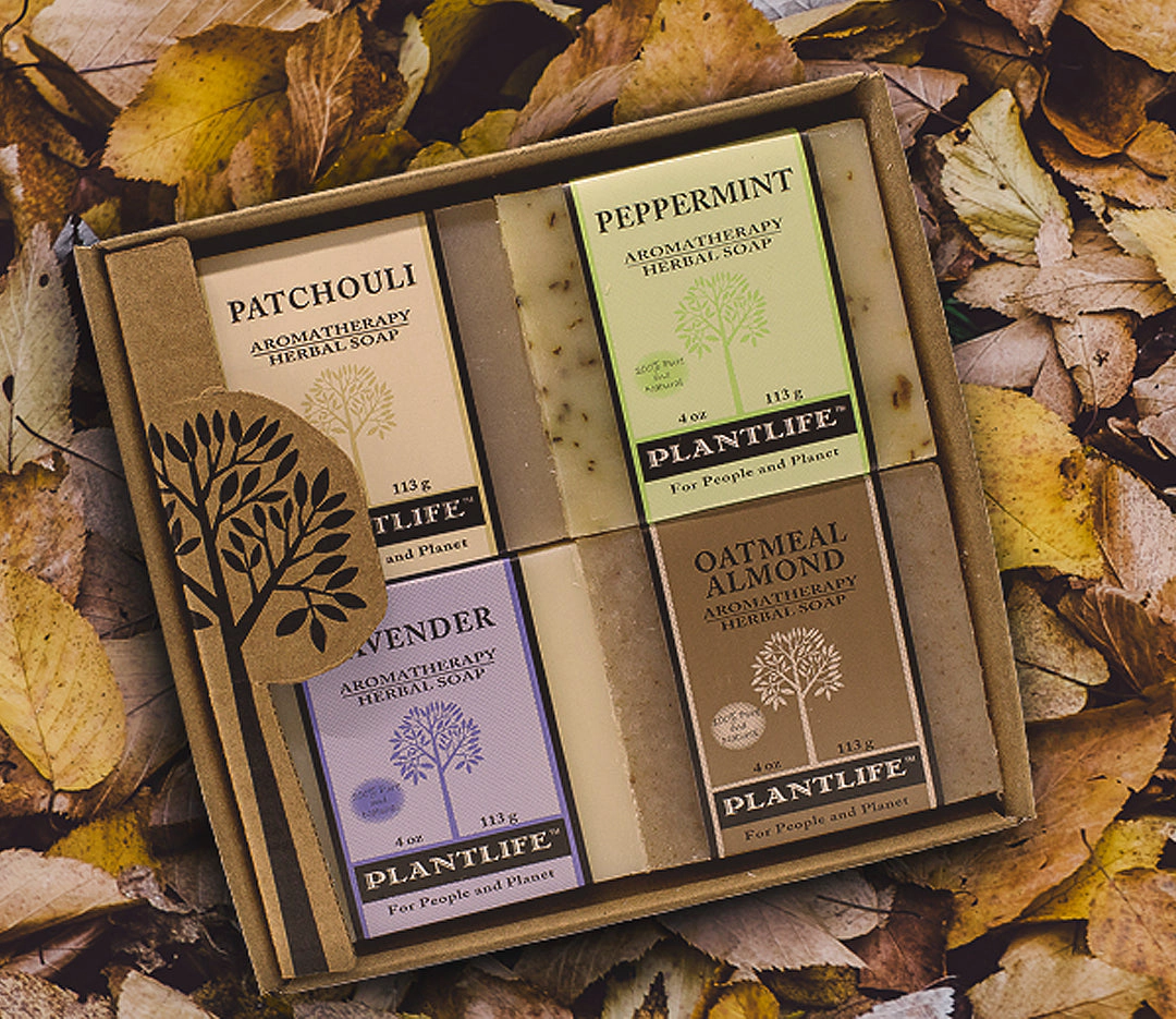 Plantlife Earth Aromatherapy Herbal Soap 4-Pack Gift Set