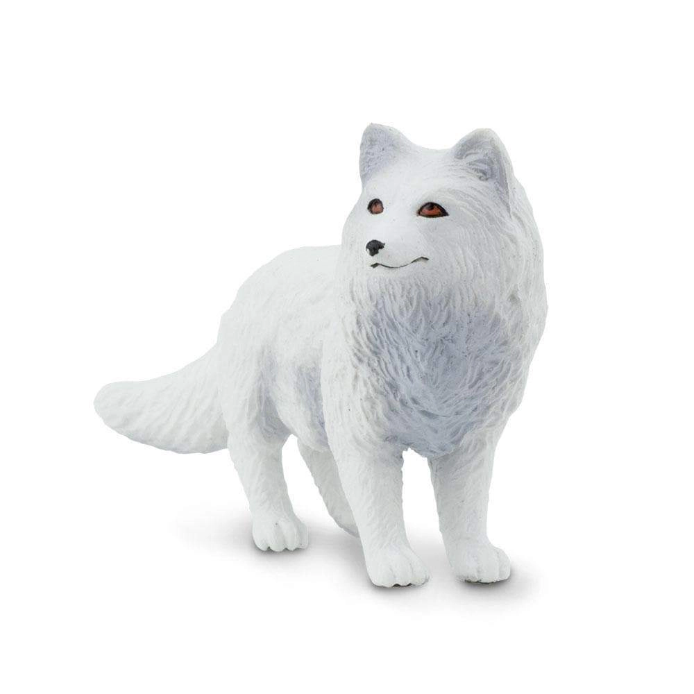 Safari Ltd. - Arctic Fox Kids Toy Figure