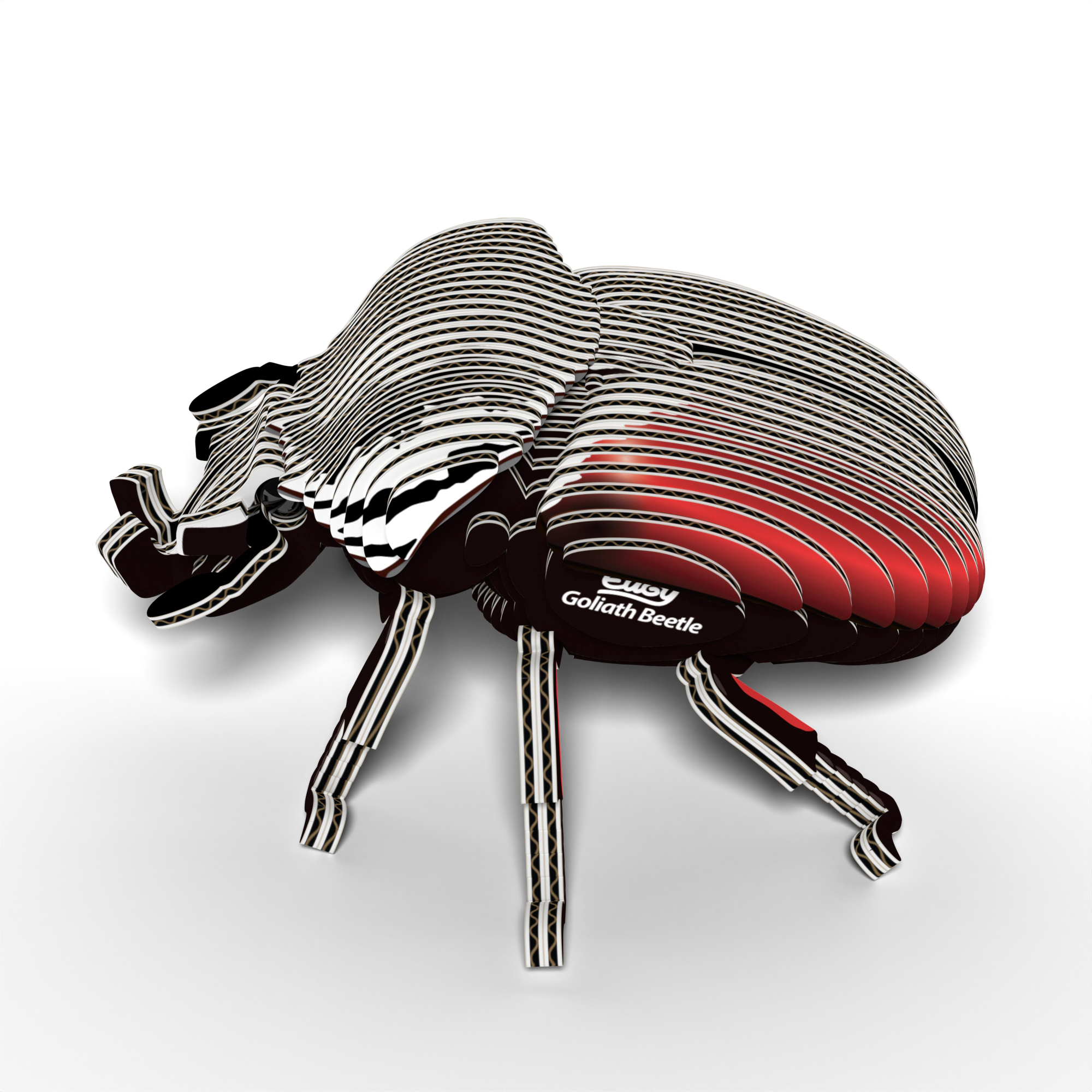 EUGY Goliath Beetle 3D Puzzle - contains 36 puzzle pieces