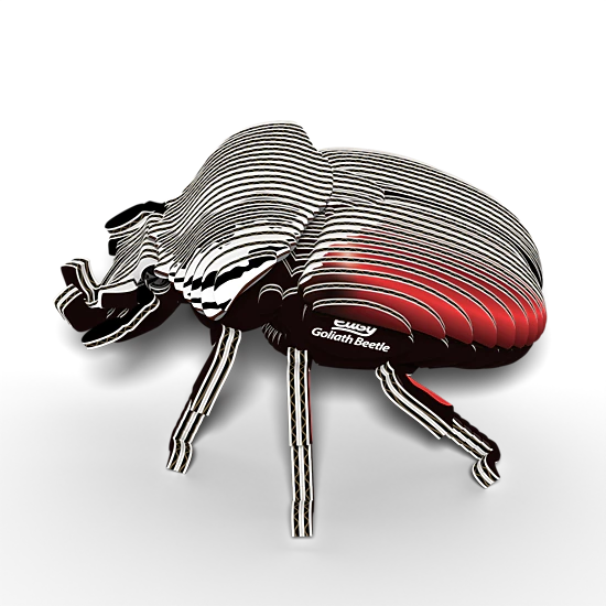 EUGY Goliath Beetle 3D Puzzle - contains 36 puzzle pieces