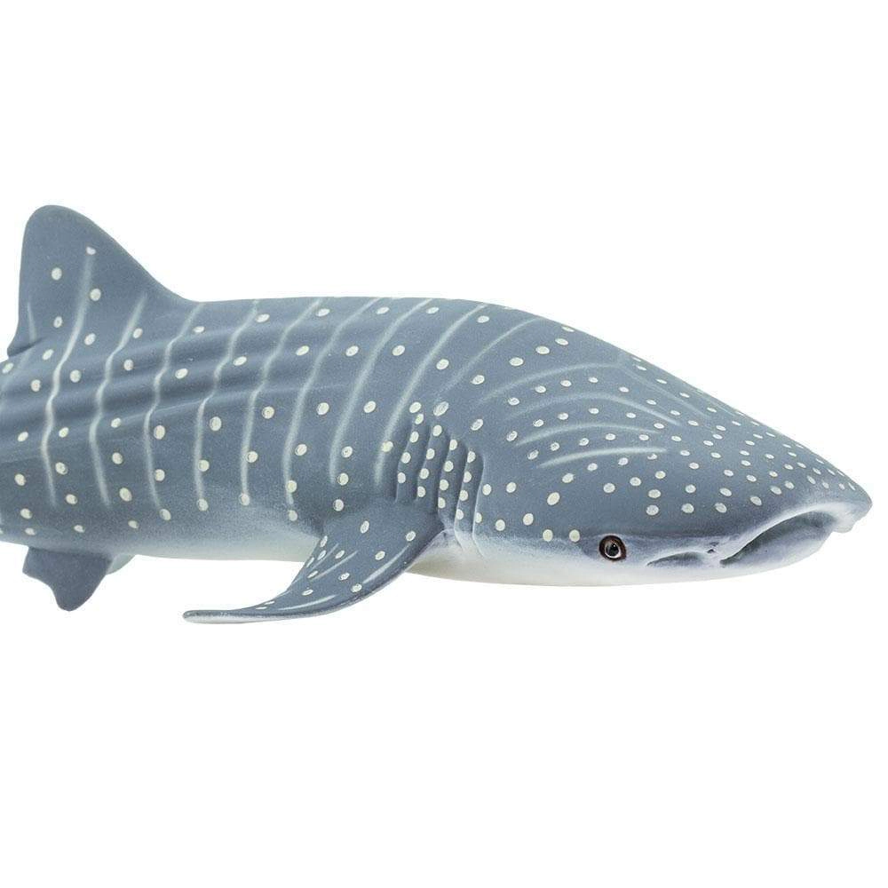 Safari Ltd. - Whale Shark Kids Toy Figure
