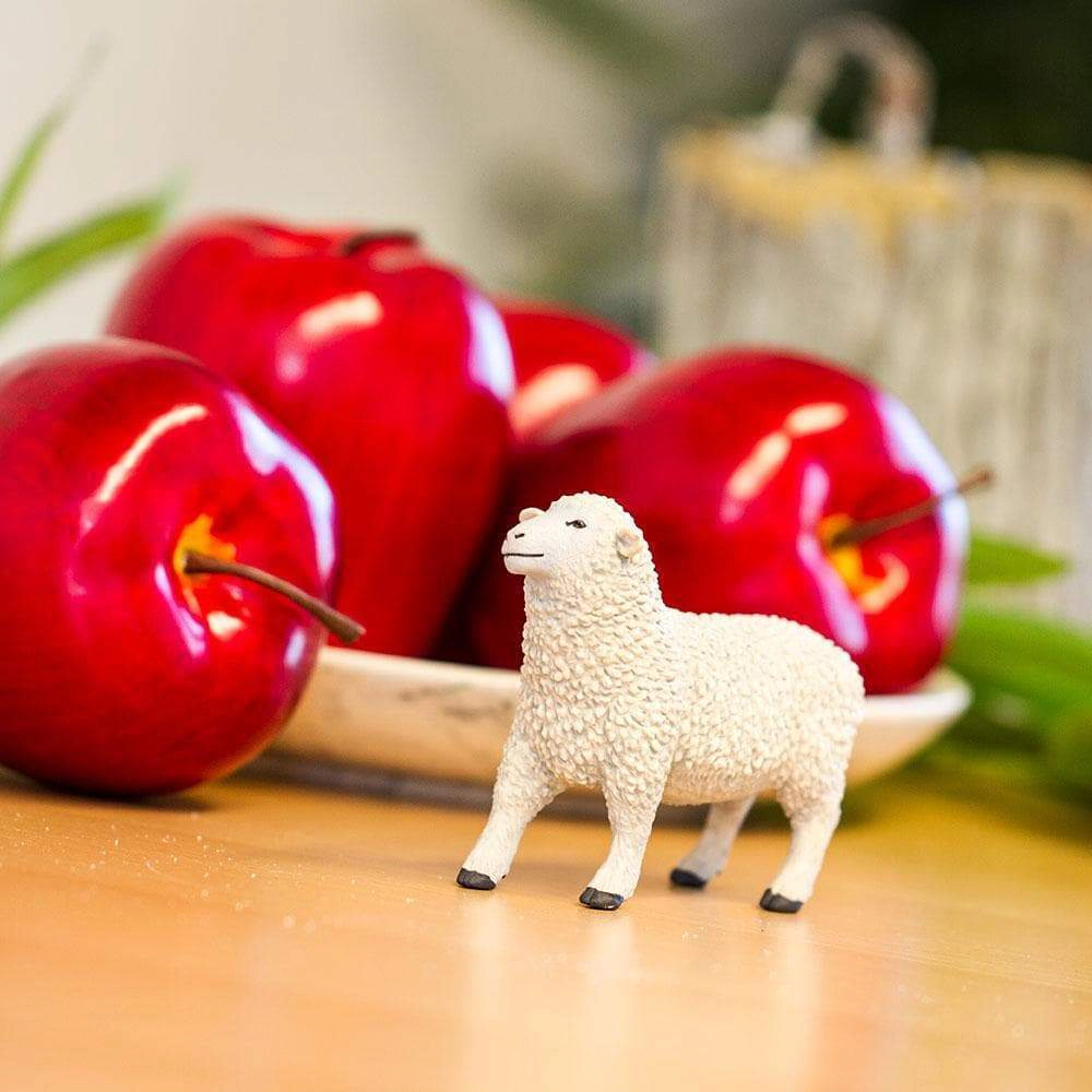 Safari Ltd. - Sheep Kids Toy Figure