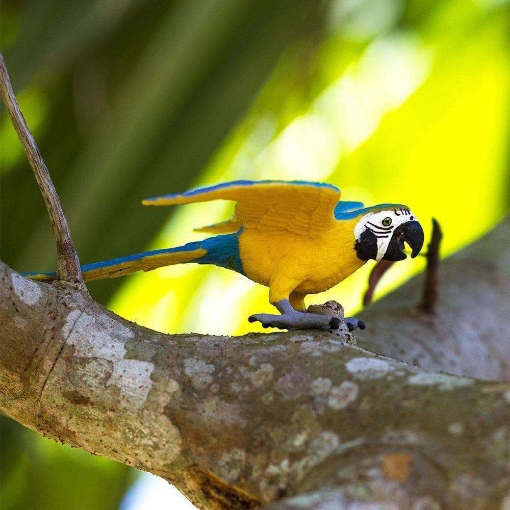 Safari Ltd. - Blue & Gold Macaw Kids Toy Figure