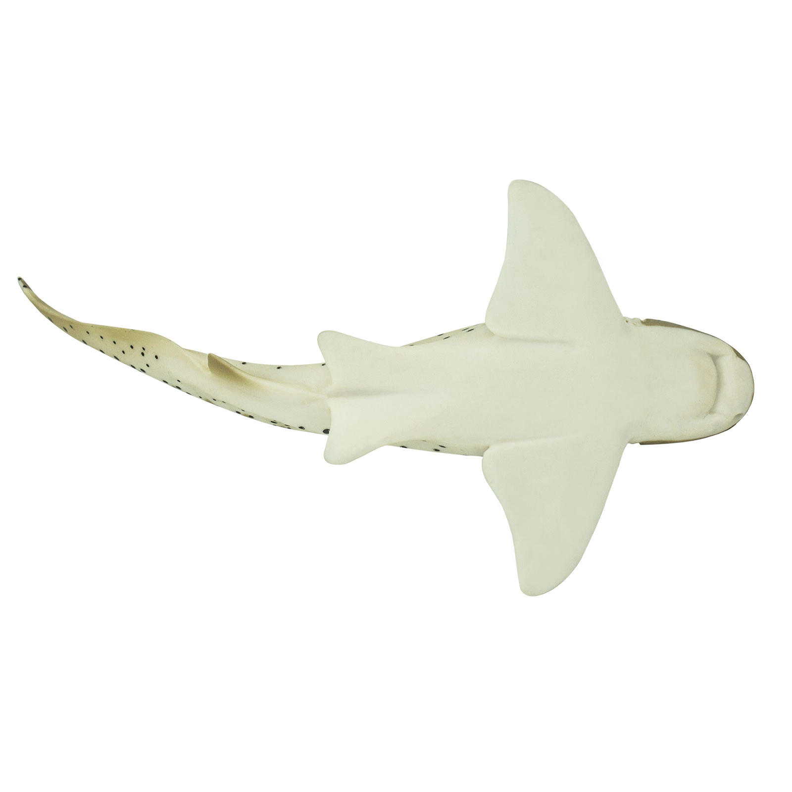 Safari Ltd. - Zebra Shark Kids Toy Figure