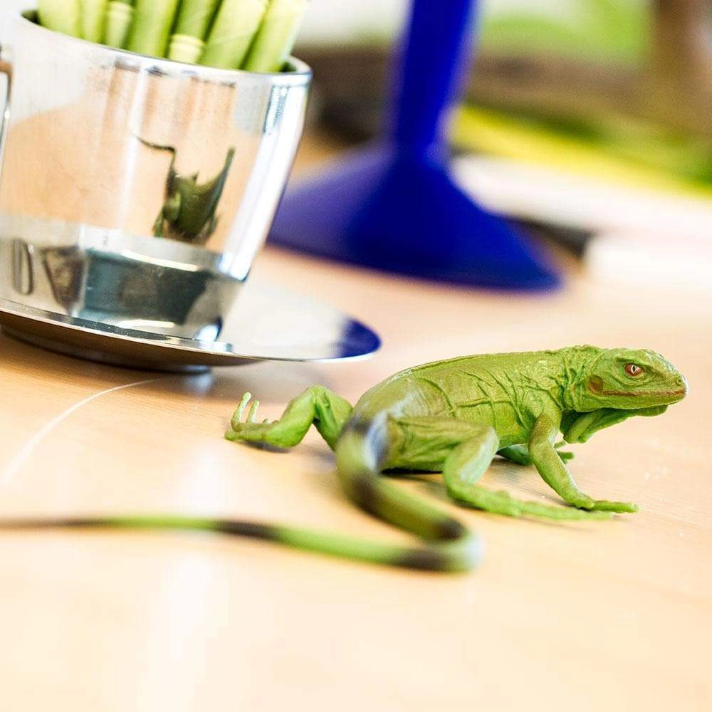 Safari Ltd. - Iguana Baby Kids Toy Figure