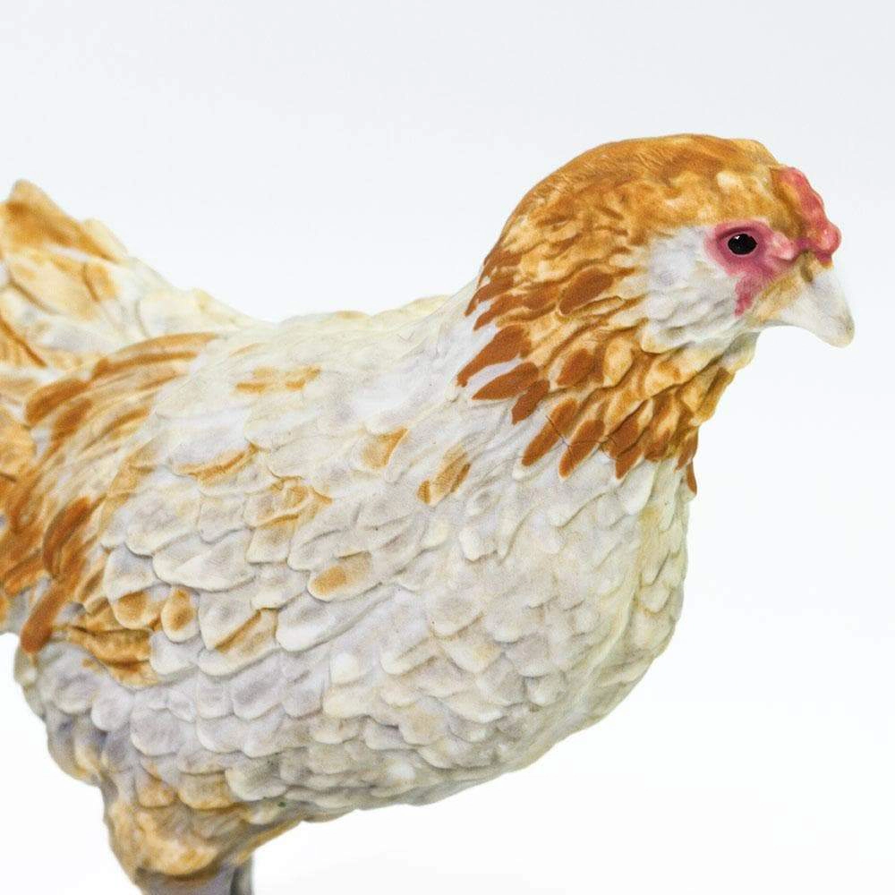 Safari Ltd. - Ameraucana Chicken Kids Toy Figure