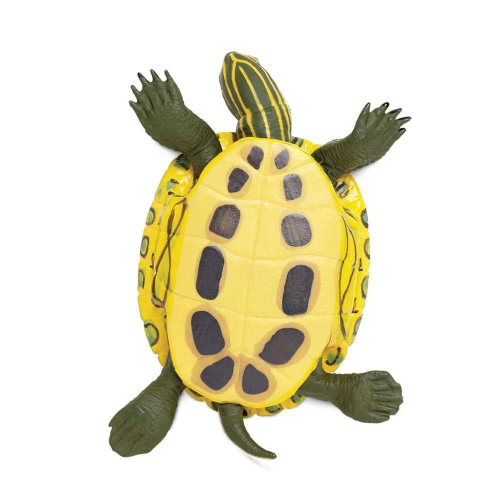 Safari Ltd. - Red-Eared Slider Turtle Kids Toy Figure