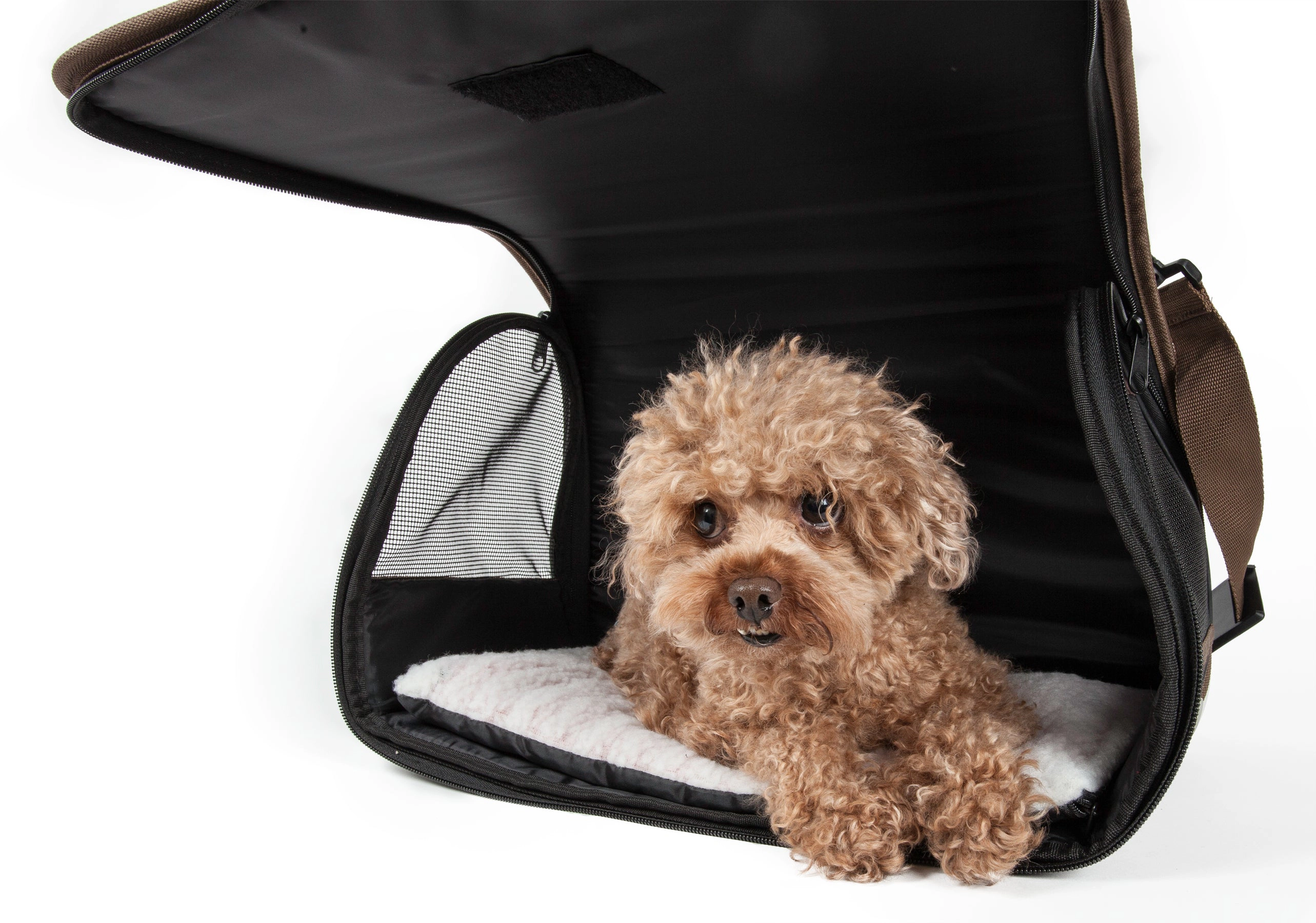 Pet Life ® Airline Approved Folding Zippered Casual Pet Carrier