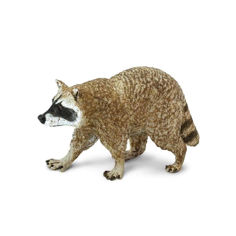 Safari Ltd. - Raccoon Kids Toy Figure