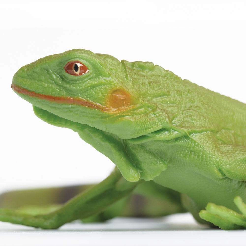 Safari Ltd. - Iguana Baby Kids Toy Figure