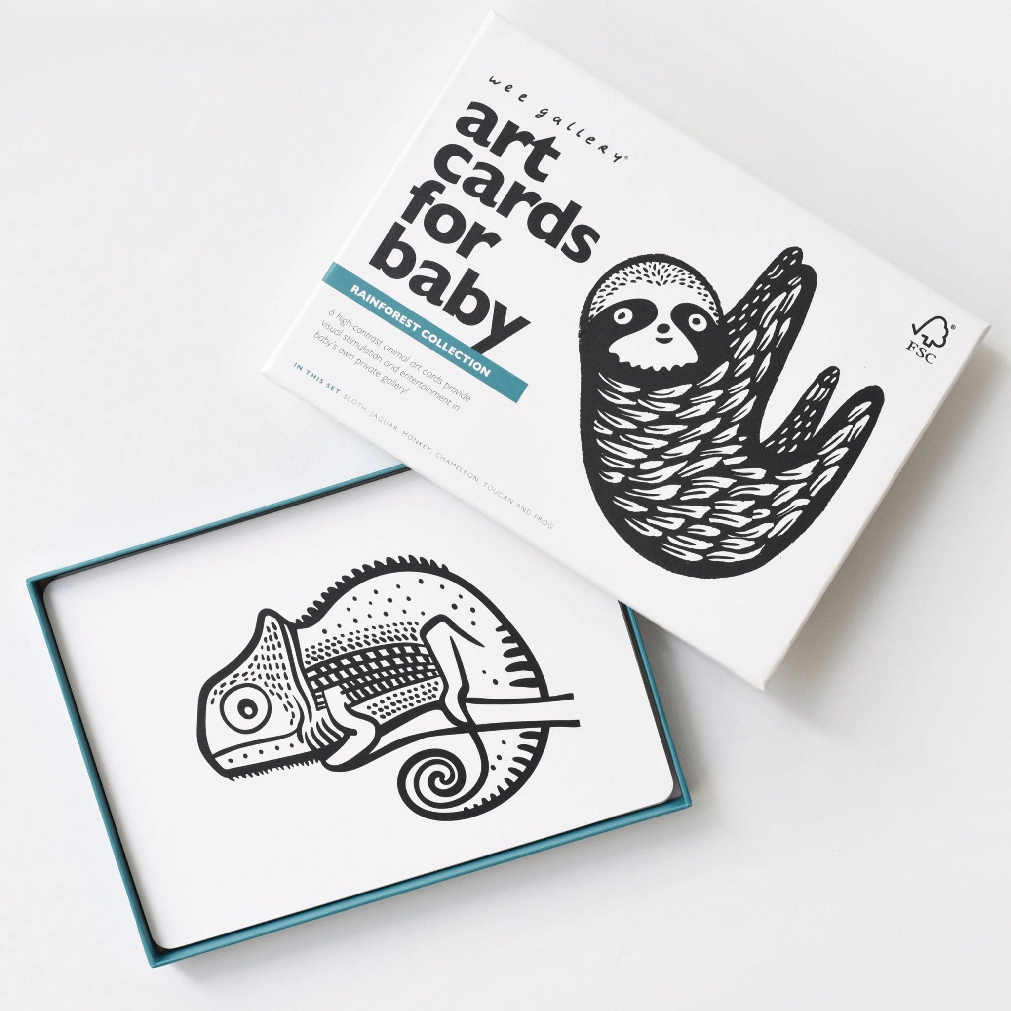 Wee Gallery Art Cards for Baby - Rainforest Collection