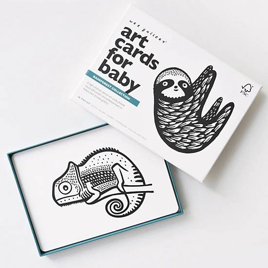 Wee Gallery Art Cards for Baby - Rainforest Collection