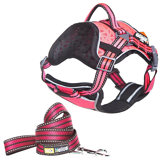 Dog Helios ® Dog Chest Compression Pet Harness and Leash Combo - JCPenney