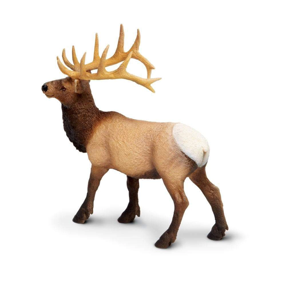 Safari Ltd. - Elk Bull Kids Toy Figure