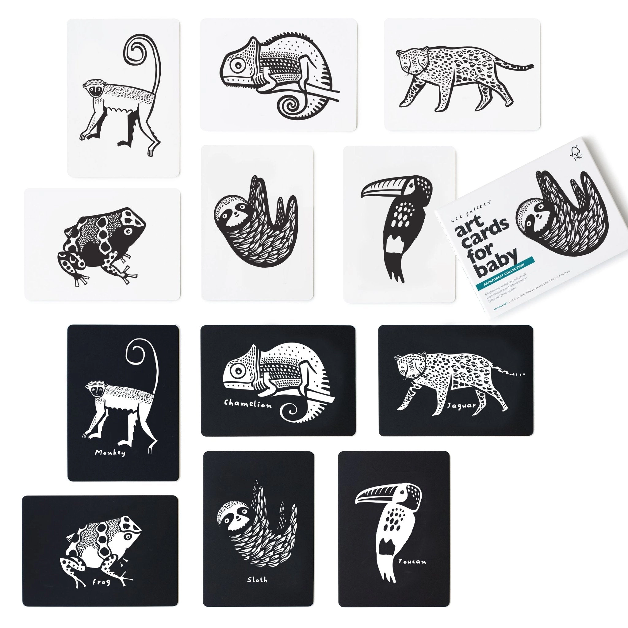 Wee Gallery Art Cards for Baby - Rainforest Collection