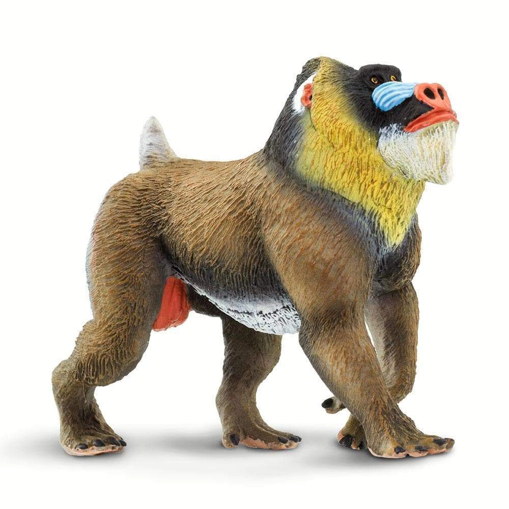 Safari Ltd. - Mandrill Kids Toy Figure