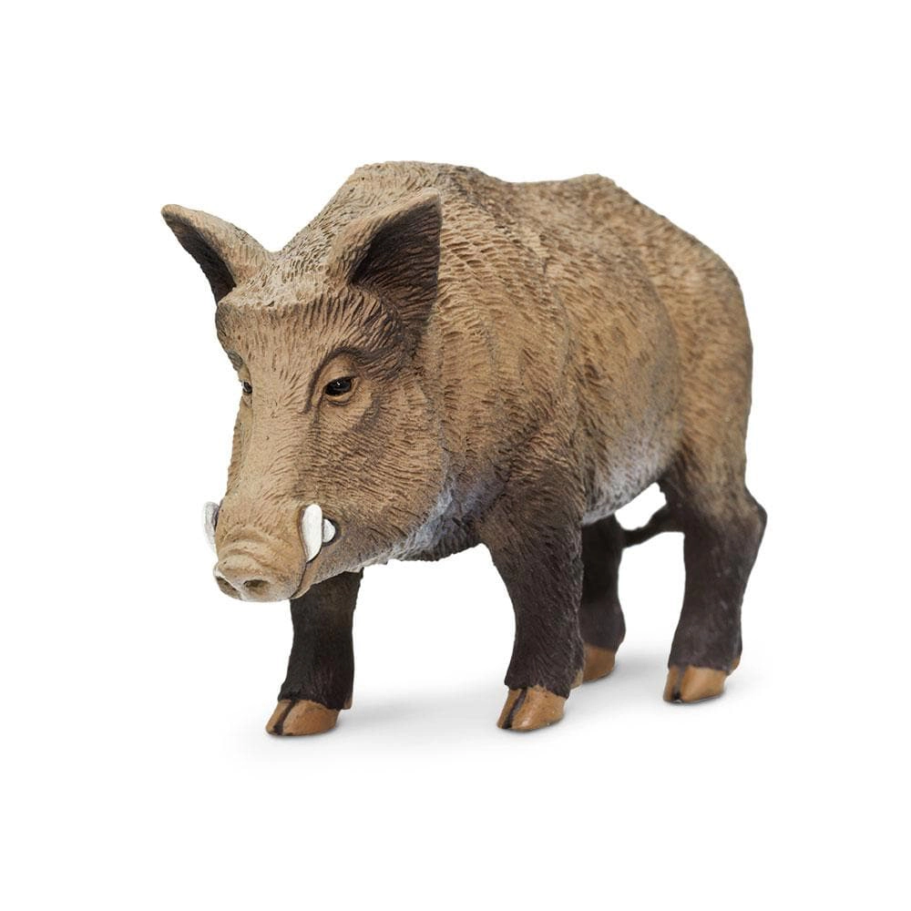 Safari Ltd. - Boar Kids Toy Figure