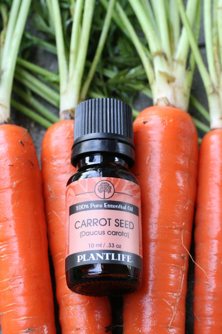 Plantlife Carrot Seed Essential Oil