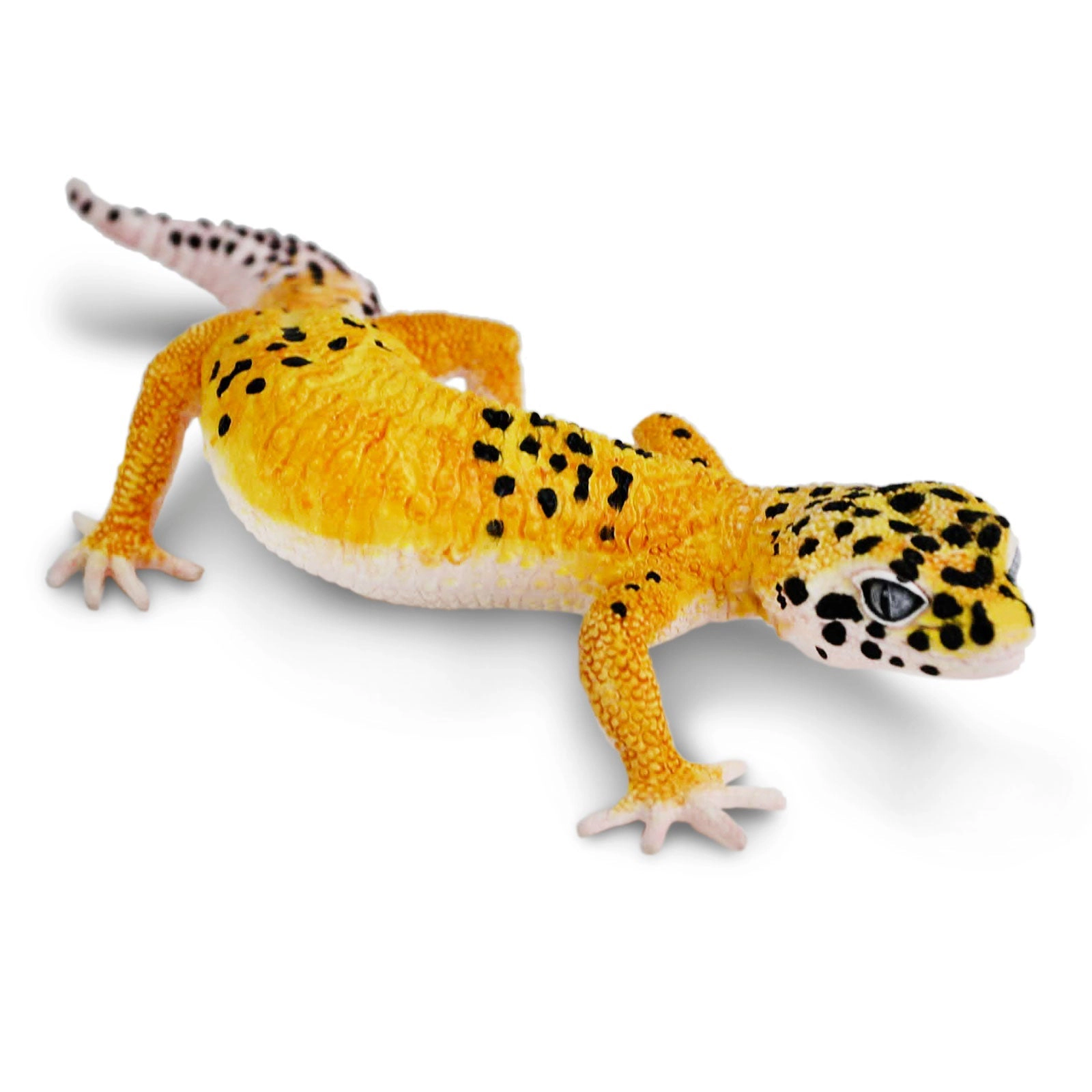 Safari Ltd. - Leopard Gecko Kids Toy Figure