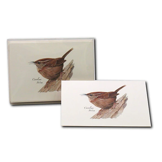 Earth Sky + Water Carolina Wren Notecard Set - 8 Blank Recycled Paper Cards with Envelopes