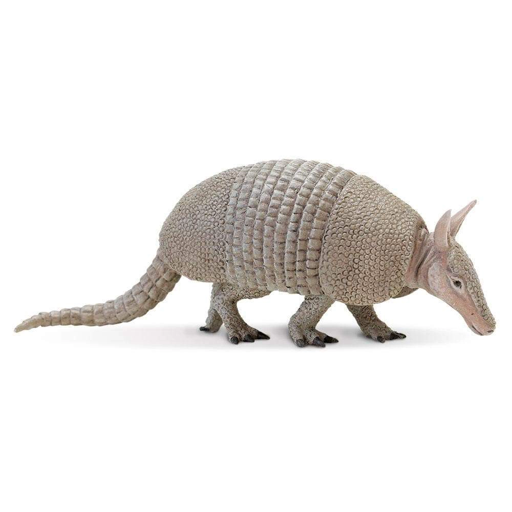 Safari Ltd. - Armadillo Kids Toy Figure