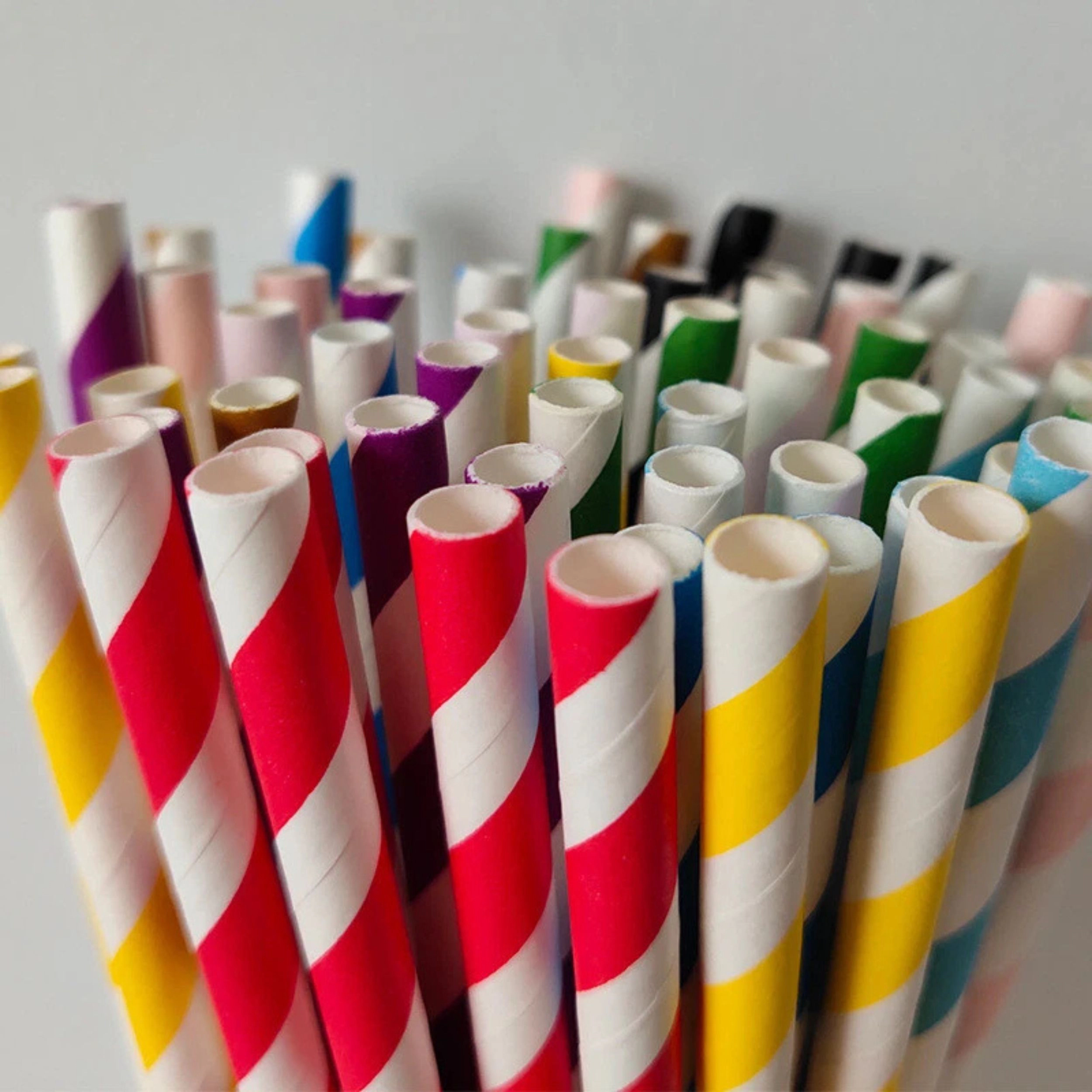 Home Collection Pack of 100 Biodegradable Patterned Paper Drinking Straws