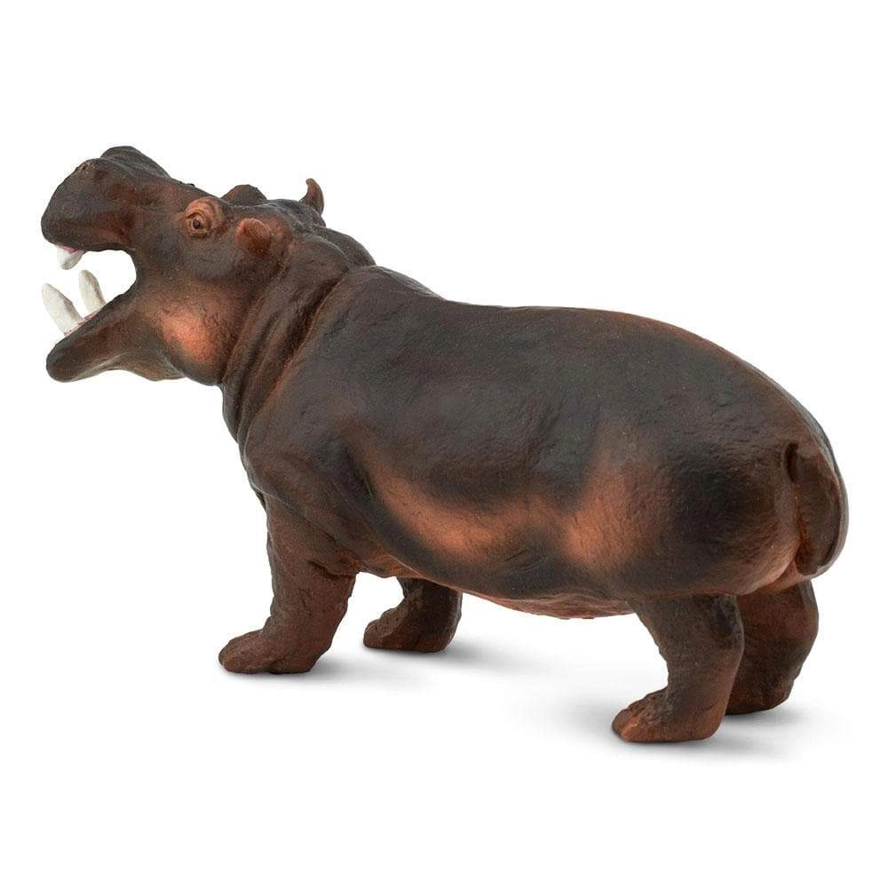 Safari Ltd. - Hippopotamus Kids Toy Figure