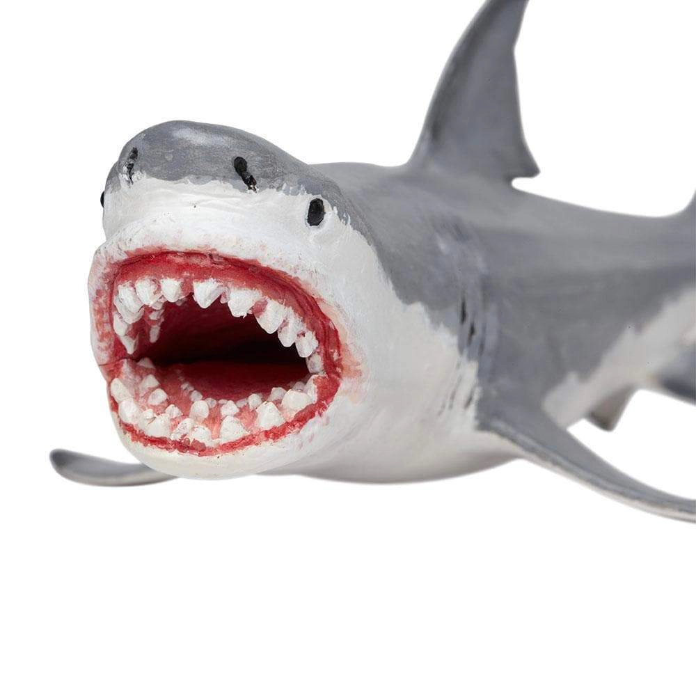 Safari Ltd. - Megalodon Kids Prehistoric/Dinosaur Toy Figure