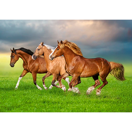 CASTORLAND 500 Piece Jigsaw Puzzles, Horses in Spring Rush, Animal puzzles, Power and beauty in motion, B-54084