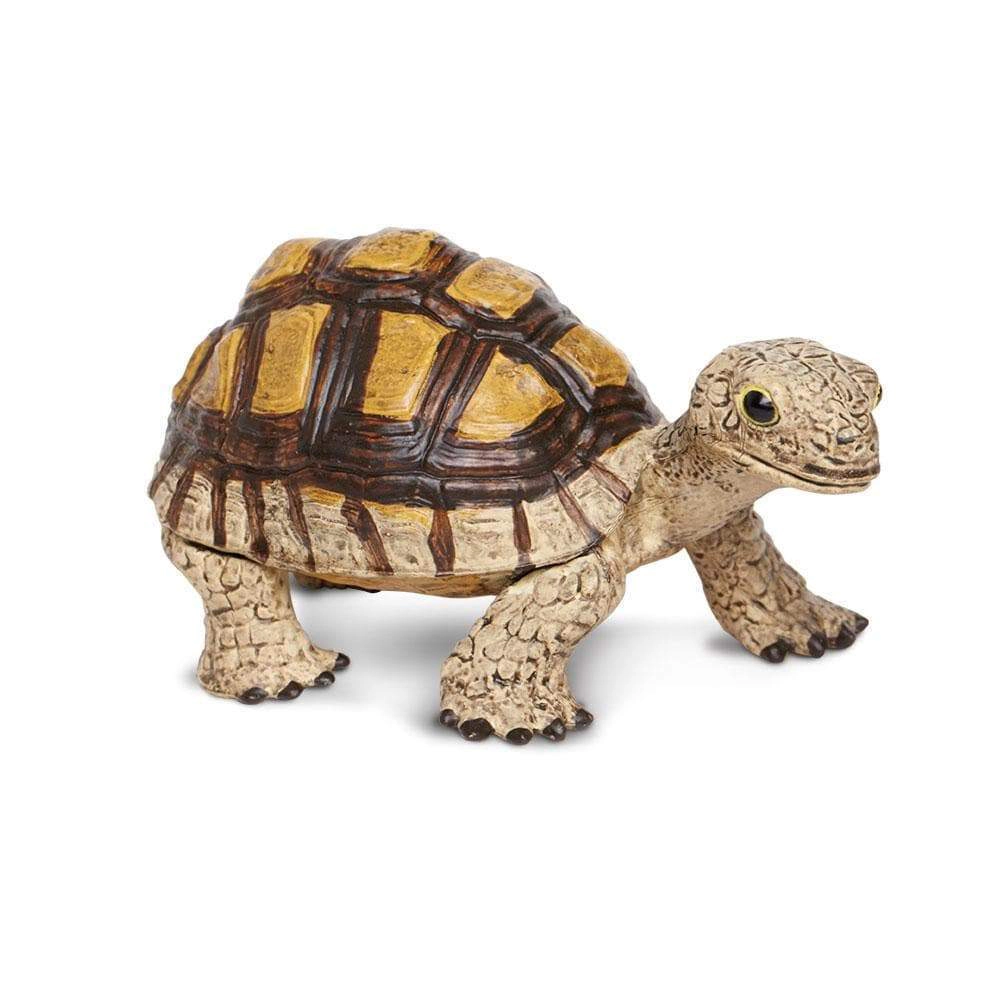 Safari Ltd. - Tortoise Kids Toy Figure