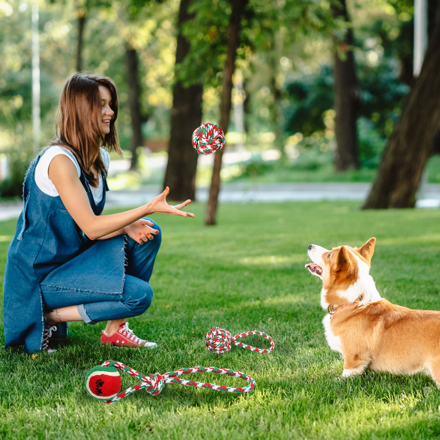 GBruno 5-Piece Christmas Dog Rope Chew Toy Set