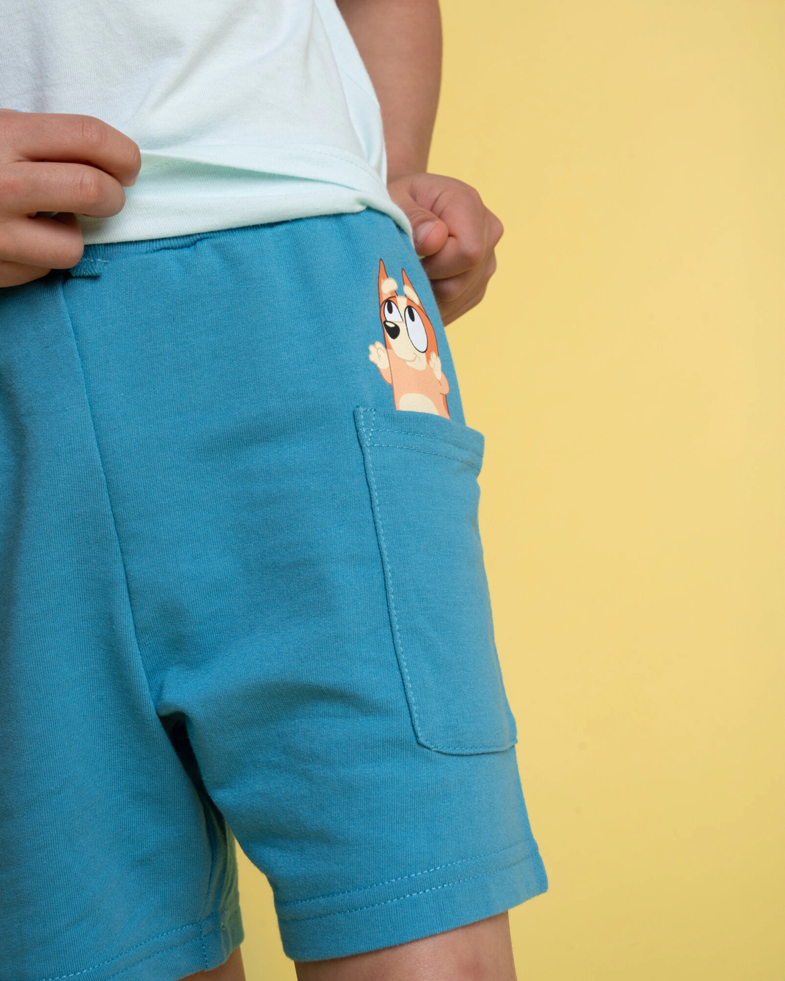 Bluey 2-Piece T-Shirt and Shorts Set