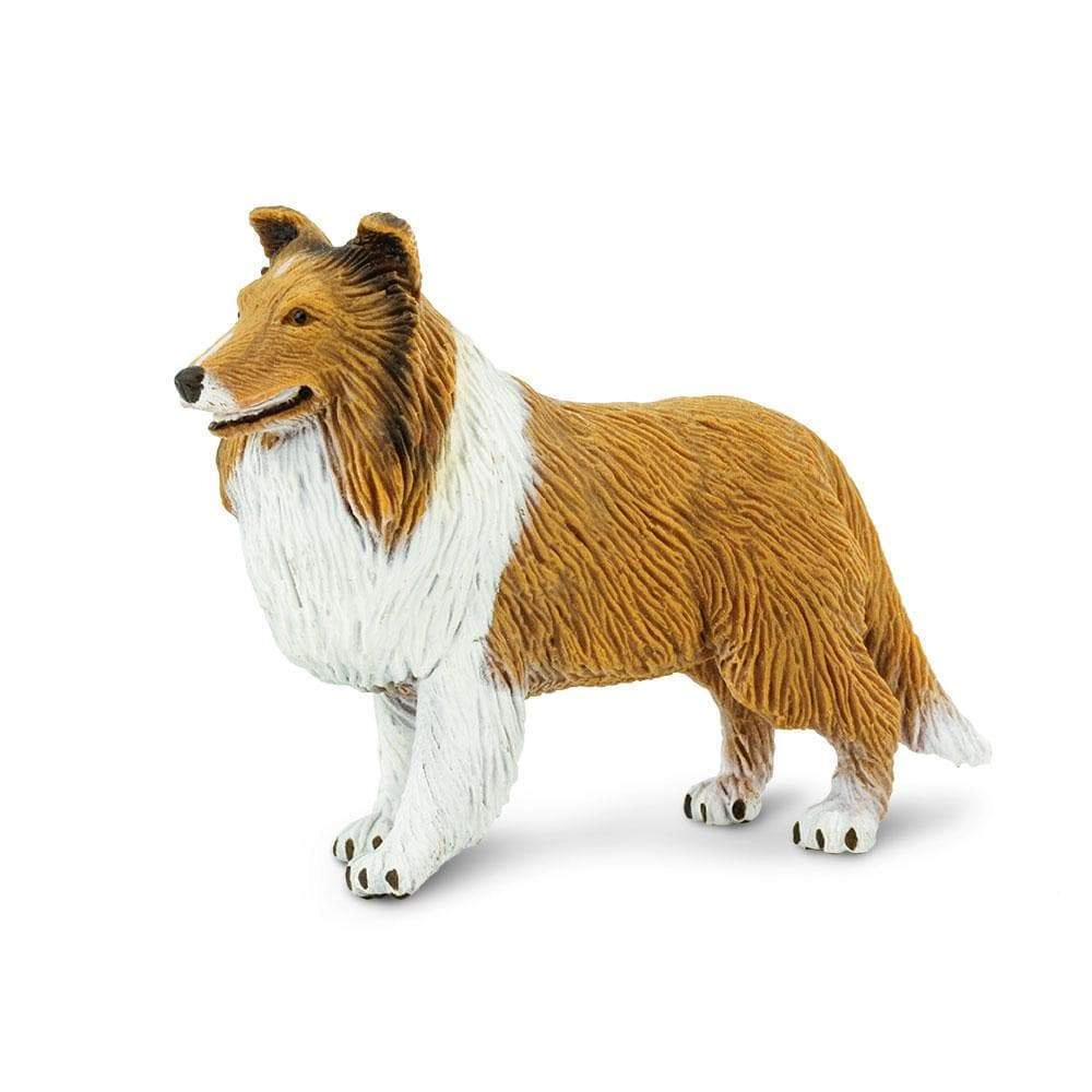 Safari Ltd. - Collie Kids Toy Figure