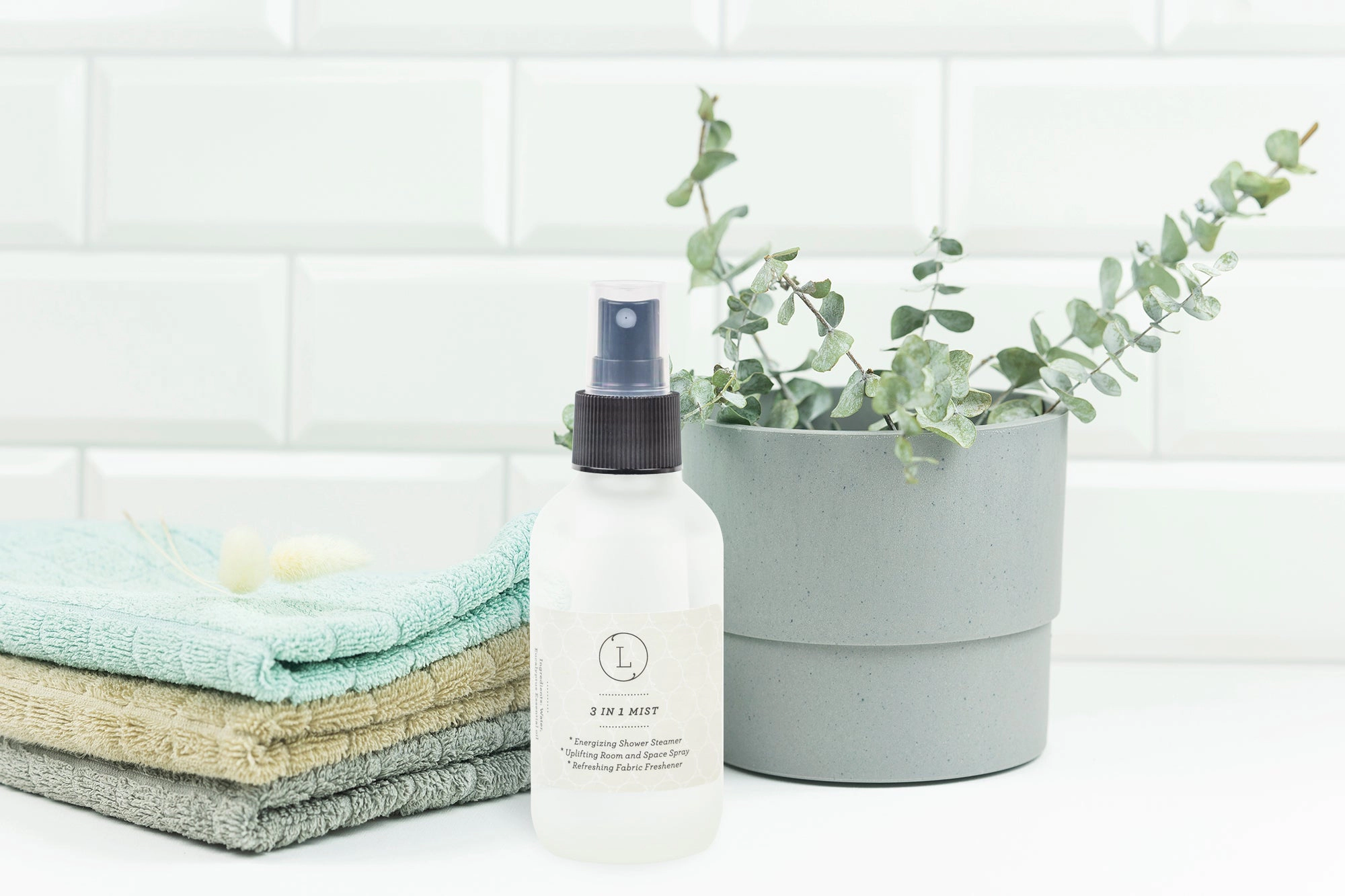 Lizush  Eucalyptus Mist 3-in-1 Home Spray - 4 oz frosted glass, Room Spray Fabric Freshener Shower Steamer