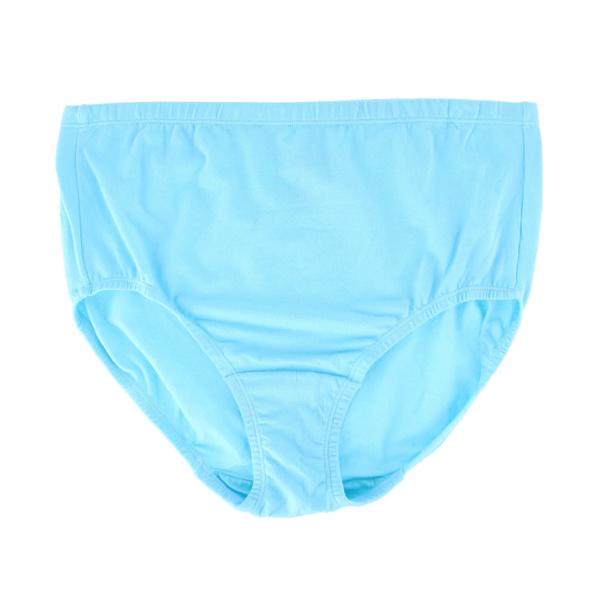 Fruit of the Loom Women's Plus Cotton-Mesh Brief Underwear (6 Pack)