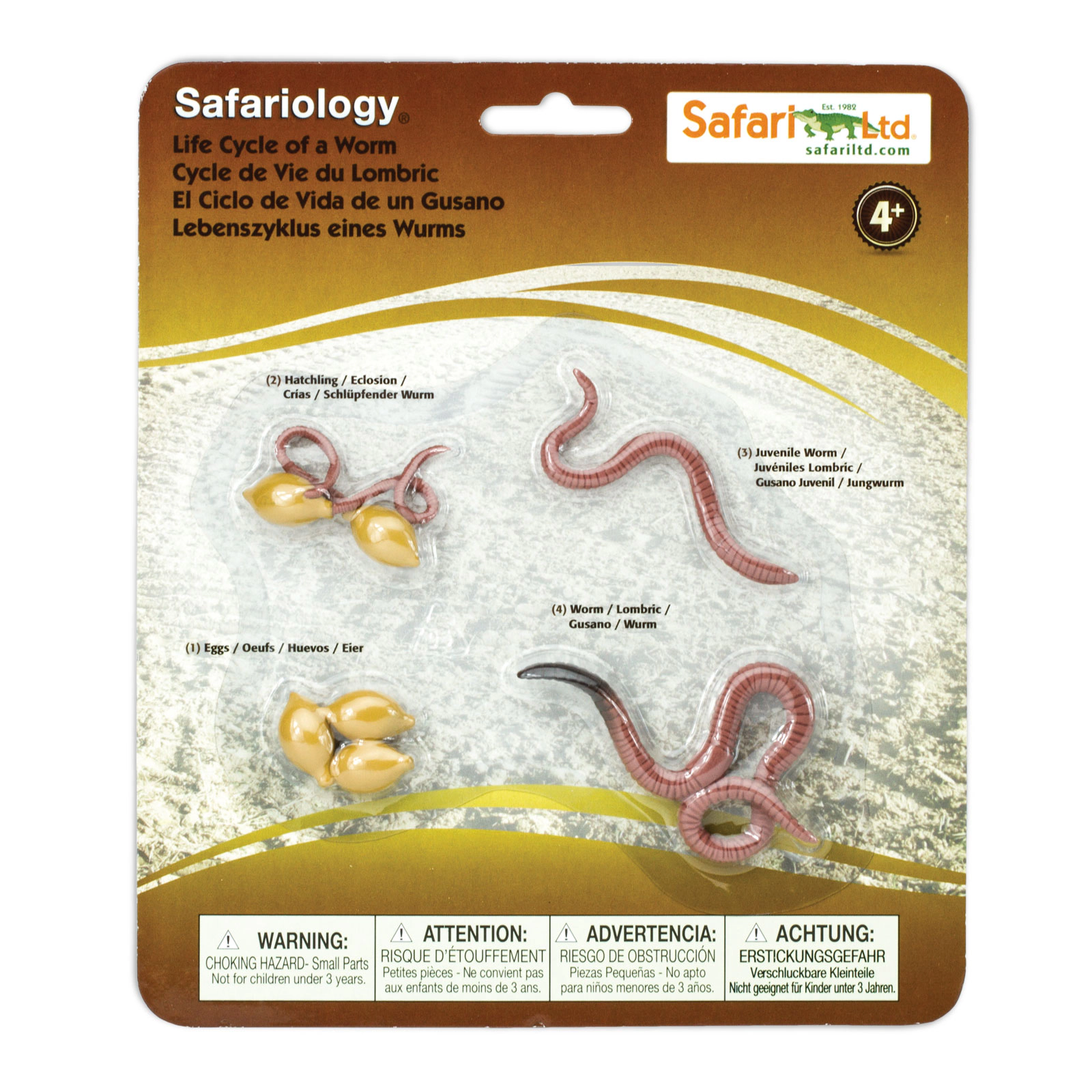 Safari Ltd. - Life Cycle of a Worm - Miniature Lifecycle Collection Toy
