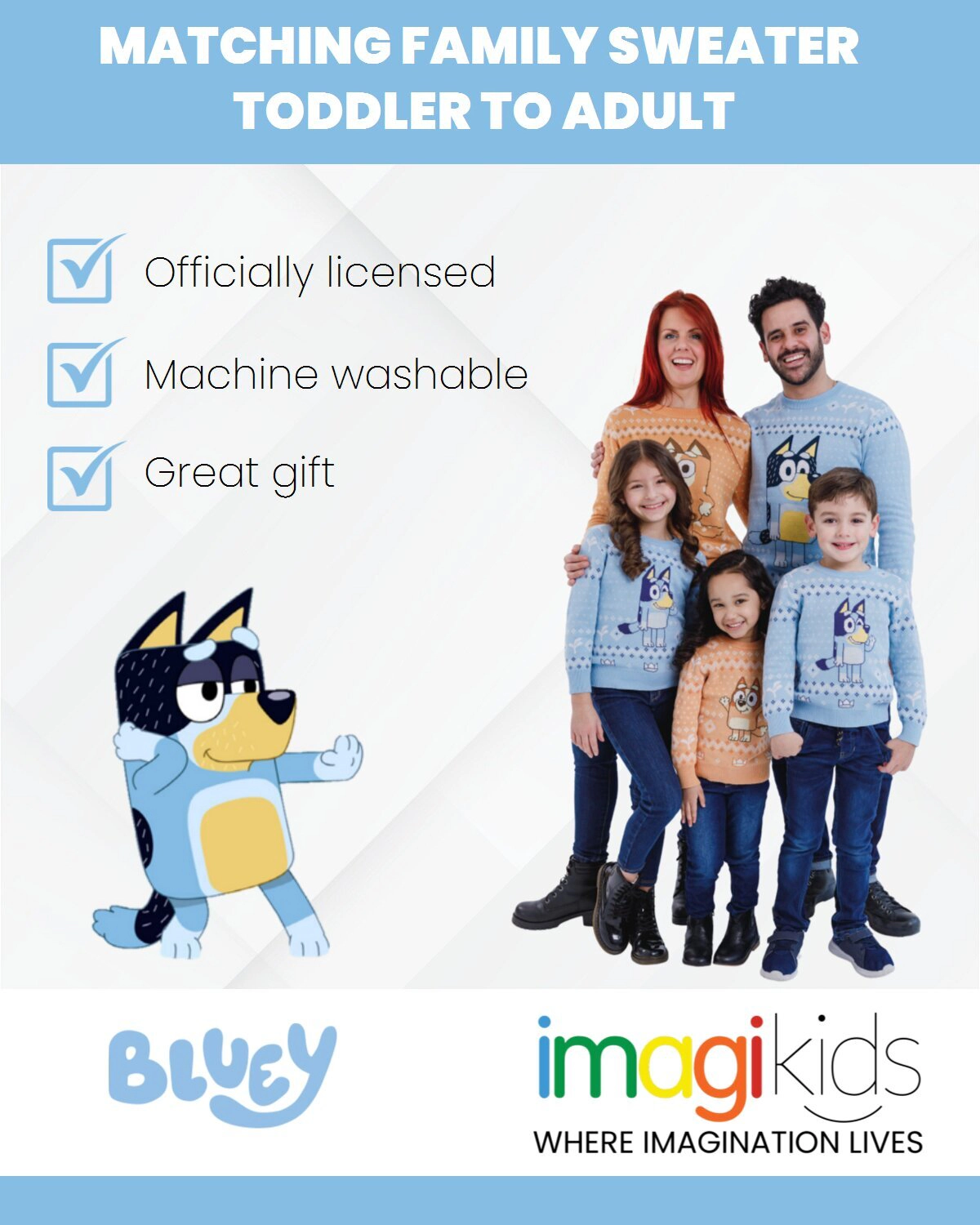 Bluey Matching Family Holiday Sweater
