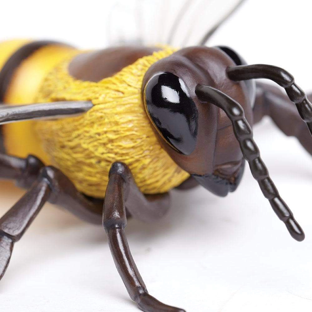 Safari Ltd. - Honey Bee Kids Toy Figure