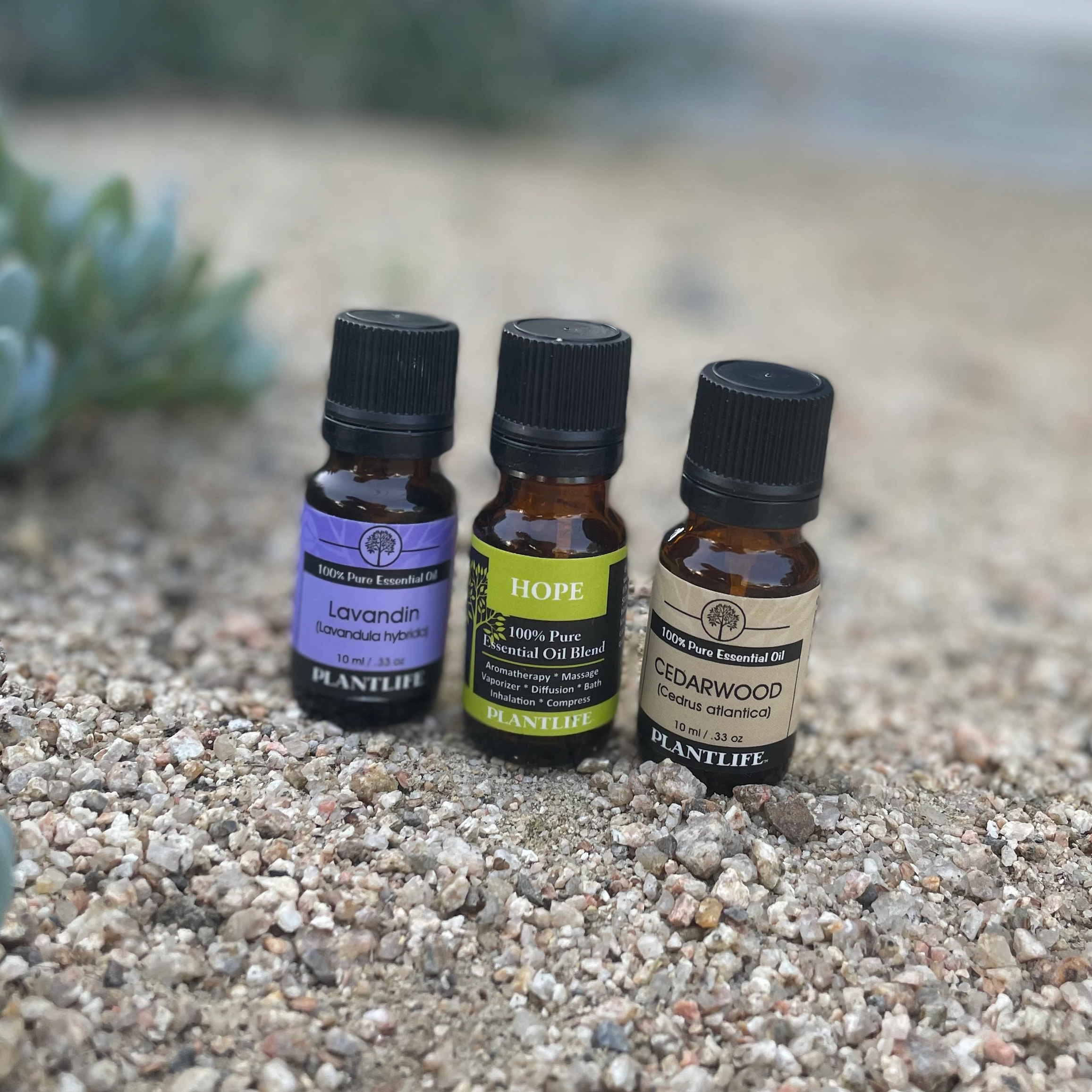 Plantlife Lavandin Essential Oil