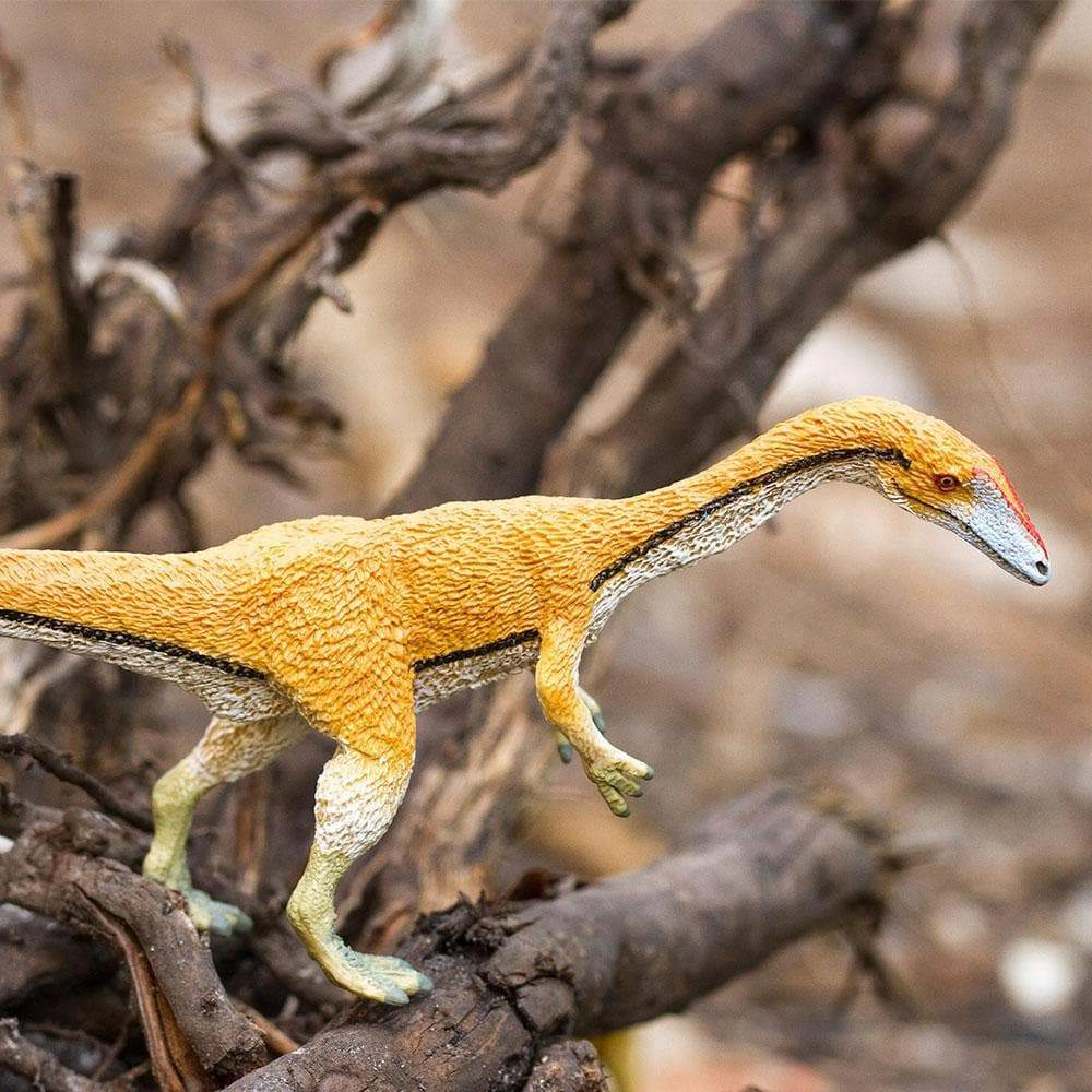 Safari Ltd. - Coelophysis Kids Prehistoric/Dinosaur Toy Figure