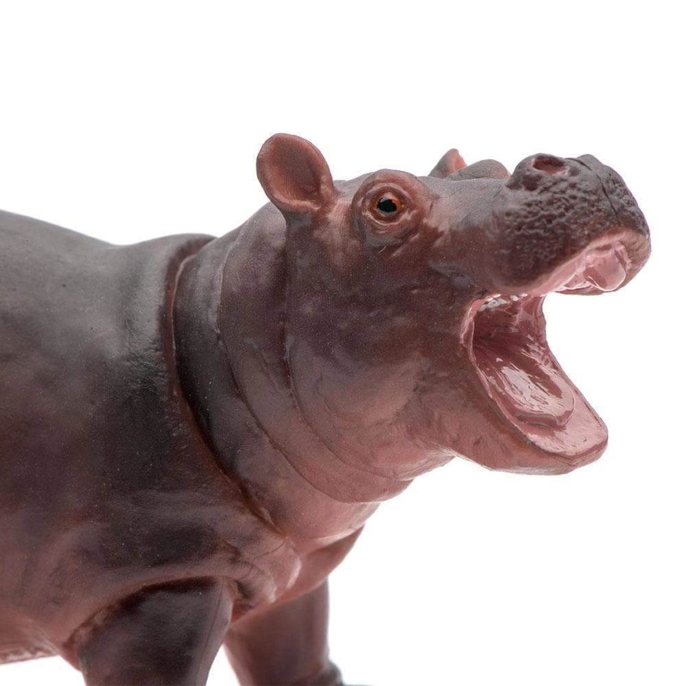Safari Ltd. - Baby Hippo Kids Toy Figure